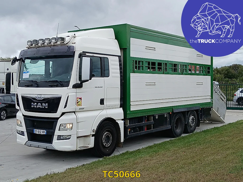 MAN TGX 460 - 가축 트럭 : 사진 1 MAN TGX 460 - 가축 트럭 : 사진 1