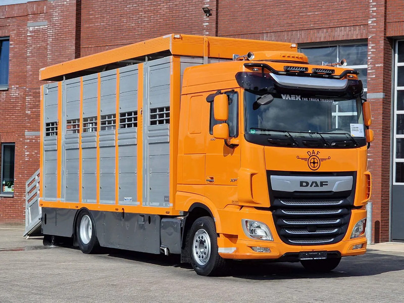DAF XF 530 4x2 - Livestock Menke 2 deck water & ventilation - 가축 트럭 : 사진 1 DAF XF 530 4x2 - Livestock Menke 2 deck water & ventilation - 가축 트럭 : 사진 1