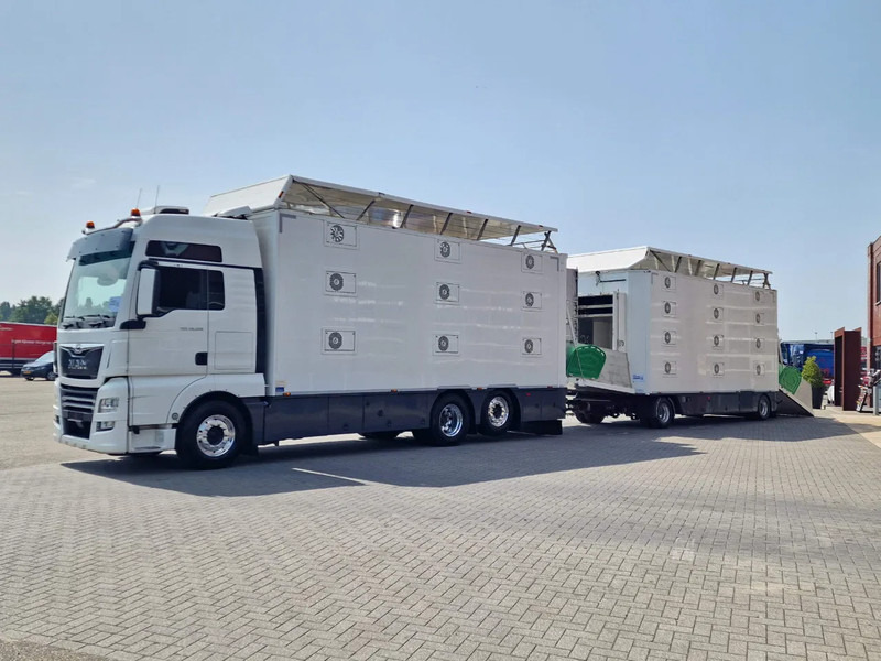 MAN TGX 500 6x2 - 3 deck Cuppers + 4 deck Cuppers 2019 trailer - Water & Ventilation - Night clima - - 가축 트럭 : 사진 3 MAN TGX 500 6x2 - 3 deck Cuppers + 4 deck Cuppers 2019 trailer - Water & Ventilation - Night clima - - 가축 트럭 : 사진 3