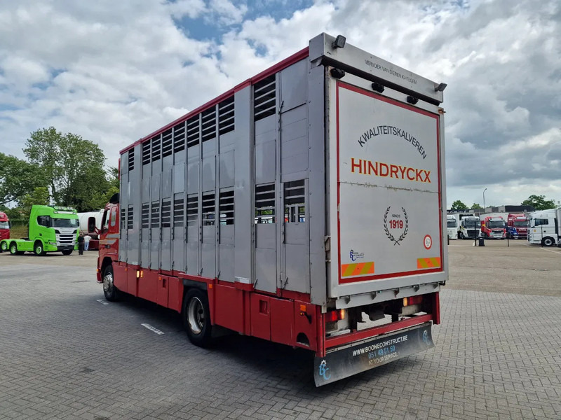 Volvo FM 250 4x- Livestock 2 deck - Lifting floors - Loadlift - Manual gearbox - 가축 트럭 : 사진 5 Volvo FM 250 4x- Livestock 2 deck - Lifting floors - Loadlift - Manual gearbox - 가축 트럭 : 사진 5