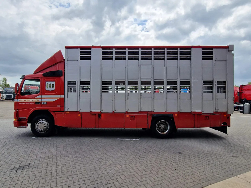 Volvo FM 250 4x- Livestock 2 deck - Lifting floors - Loadlift - Manual gearbox - 가축 트럭 : 사진 4 Volvo FM 250 4x- Livestock 2 deck - Lifting floors - Loadlift - Manual gearbox - 가축 트럭 : 사진 4