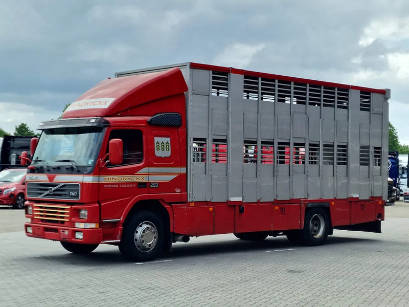 Volvo FM 250 4x- Livestock 2 deck - Lifting floors - Loadlift - Manual gearbox - 가축 트럭 : 사진 3 Volvo FM 250 4x- Livestock 2 deck - Lifting floors - Loadlift - Manual gearbox - 가축 트럭 : 사진 3