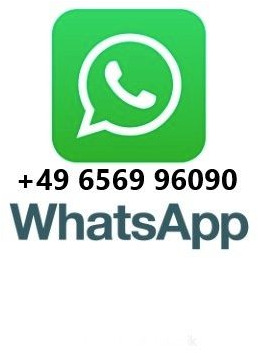 MAN TGS 18.320 4x4 Winterdienst Wechselsystem Unfall - 캡 새시 트럭 : 사진 2 MAN TGS 18.320 4x4 Winterdienst Wechselsystem Unfall - 캡 새시 트럭 : 사진 2