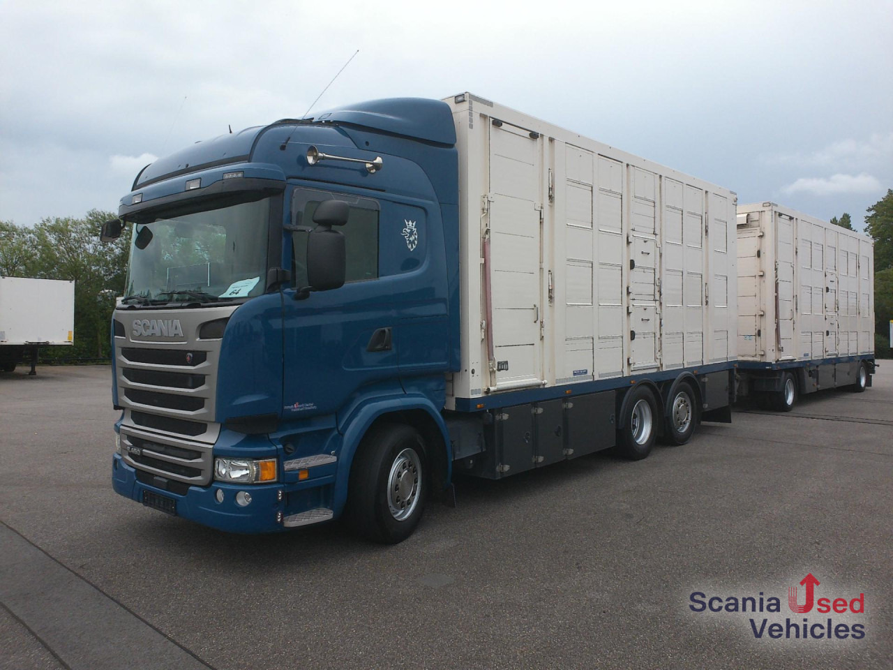 SCANIA R 450 LB6x2*4MNA - 말 수송 트럭 : 사진 1 SCANIA R 450 LB6x2*4MNA - 말 수송 트럭 : 사진 1