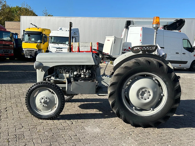 Diversen FERGUSON tractor - 장궤형 트랙터 : 사진 1 Diversen FERGUSON tractor - 장궤형 트랙터 : 사진 1