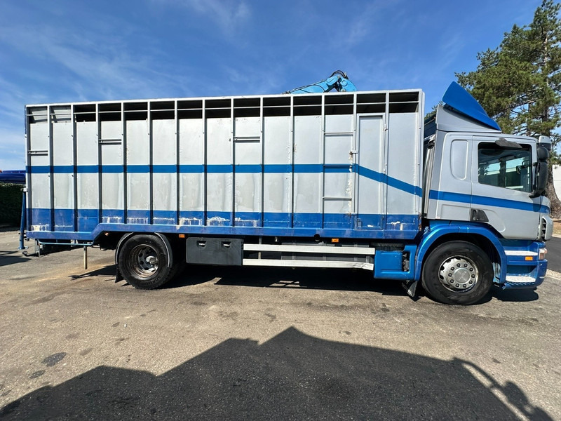 Scania P310 4x2 LIVESTOCK / VEEWAGEN / TIERTRANSPORT / BETAILLERE - ALU BOX 7m - MANUAL - A/C - BELGIAN TRUCK - 가축 트럭 : 사진 4 Scania P310 4x2 LIVESTOCK / VEEWAGEN / TIERTRANSPORT / BETAILLERE - ALU BOX 7m - MANUAL - A/C - BELGIAN TRUCK - 가축 트럭 : 사진 4