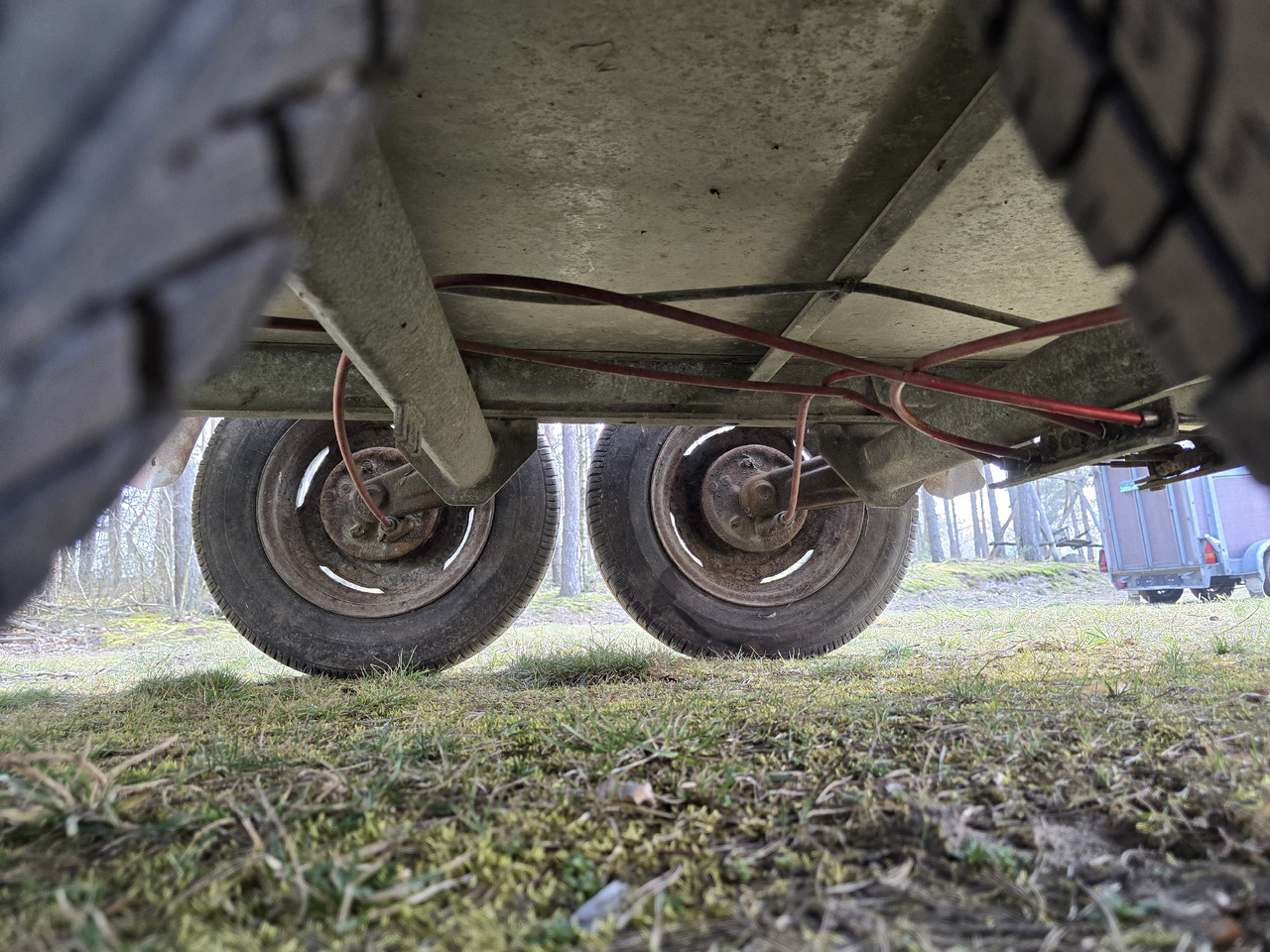 PONGRATZ PA 310 T - 가축 트레일러 : 사진 4 PONGRATZ PA 310 T - 가축 트레일러 : 사진 4