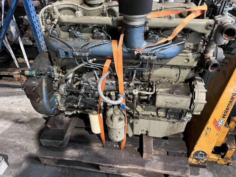 DAF DH 825 daf - MEERDERE OP VOORRAAD - 엔진 트럭 용 : 사진 5 DAF DH 825 daf - MEERDERE OP VOORRAAD - 엔진 트럭 용 : 사진 5