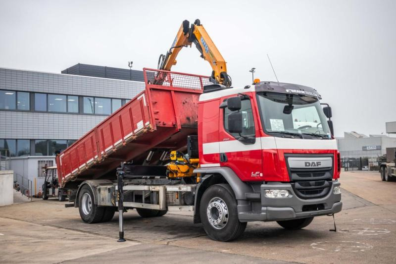 DAF LF 250 - EFFER 145 - 덤프트럭, 크레인 트럭 : 사진 2 DAF LF 250 - EFFER 145 - 덤프트럭, 크레인 트럭 : 사진 2