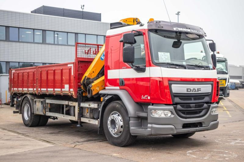 덤프트럭, 크레인 트럭 DAF LF 250 - EFFER 145 : 사진 6 덤프트럭, 크레인 트럭 DAF LF 250 - EFFER 145 : 사진 6
