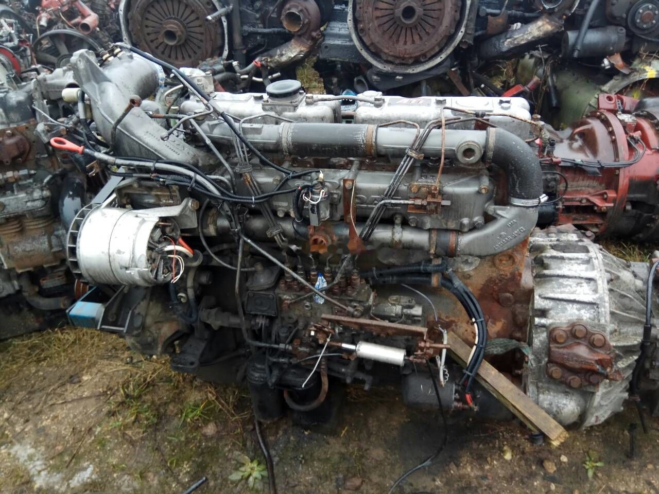 DAF ATI WS268   DAF ATI DAF 85 95 - 엔진 트럭 용 : 사진 1 DAF ATI WS268   DAF ATI DAF 85 95 - 엔진 트럭 용 : 사진 1