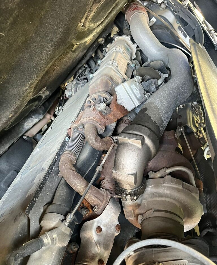 MAN D2676LF78 truck - 엔진 트럭 용 : 사진 4 MAN D2676LF78 truck - 엔진 트럭 용 : 사진 4