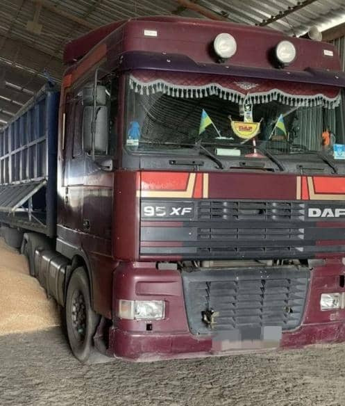 DAF XF 95 - 트랙터 유닛 : 사진 5 DAF XF 95 - 트랙터 유닛 : 사진 5