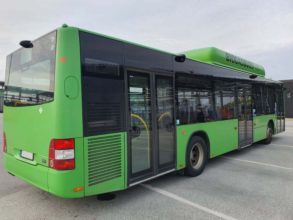 MAN Lion´s City A21 CNG - 시내버스 : 사진 2 MAN Lion´s City A21 CNG - 시내버스 : 사진 2