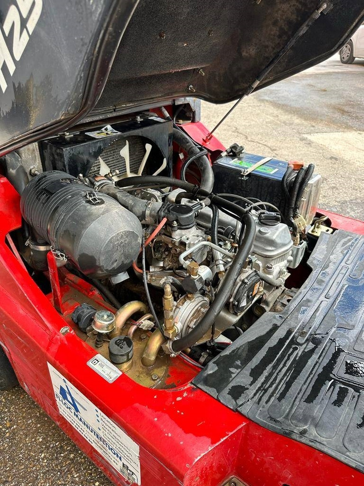 LPG 지게차 DEMO DM-H 25 VGT : 사진 14