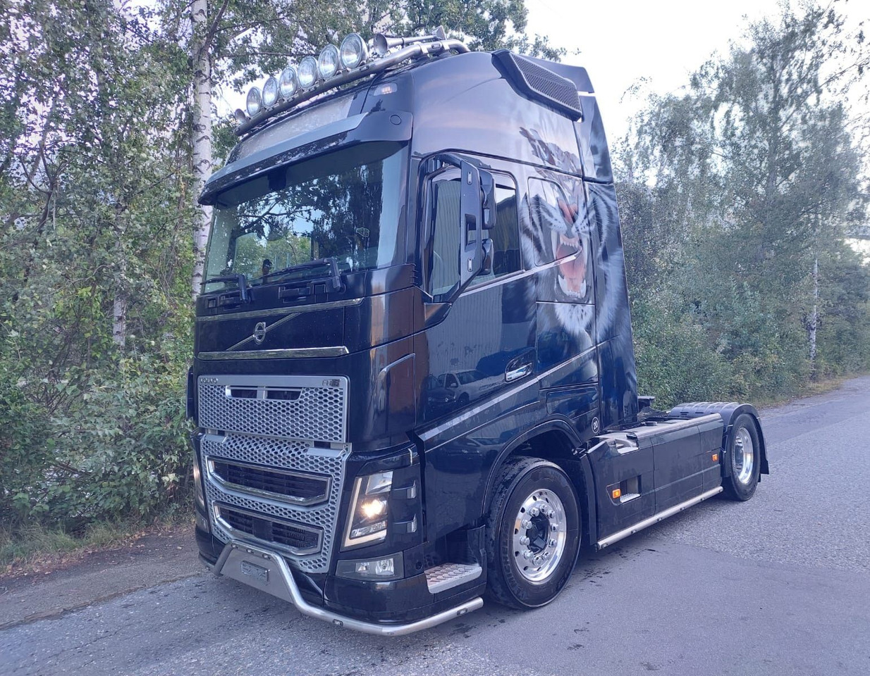 Volvo FH16-650 4x2, Euro 6, VEB, airbrush - 트랙터 유닛 : 사진 1 Volvo FH16-650 4x2, Euro 6, VEB, airbrush - 트랙터 유닛 : 사진 1