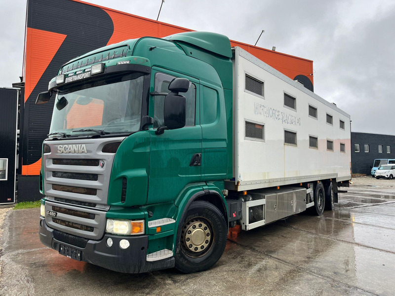 Scania G 480 6x2*4 BOX L=9212 mm / COOLANT LEAKAGE ON 3 RD CYLINDER - 가축 트럭 : 사진 2 Scania G 480 6x2*4 BOX L=9212 mm / COOLANT LEAKAGE ON 3 RD CYLINDER - 가축 트럭 : 사진 2