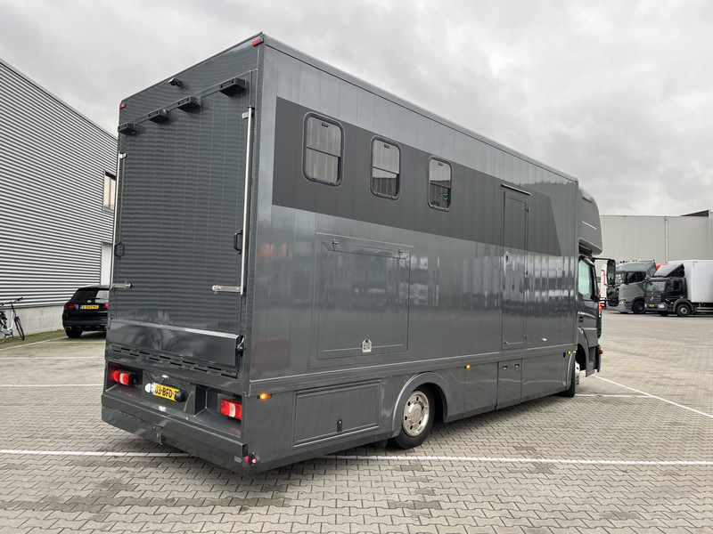 Mercedes-Benz Atego 816 / Horse Truck - 3 Horses / Camper / NL Truck - 말 트레일러 : 사진 2 Mercedes-Benz Atego 816 / Horse Truck - 3 Horses / Camper / NL Truck - 말 트레일러 : 사진 2