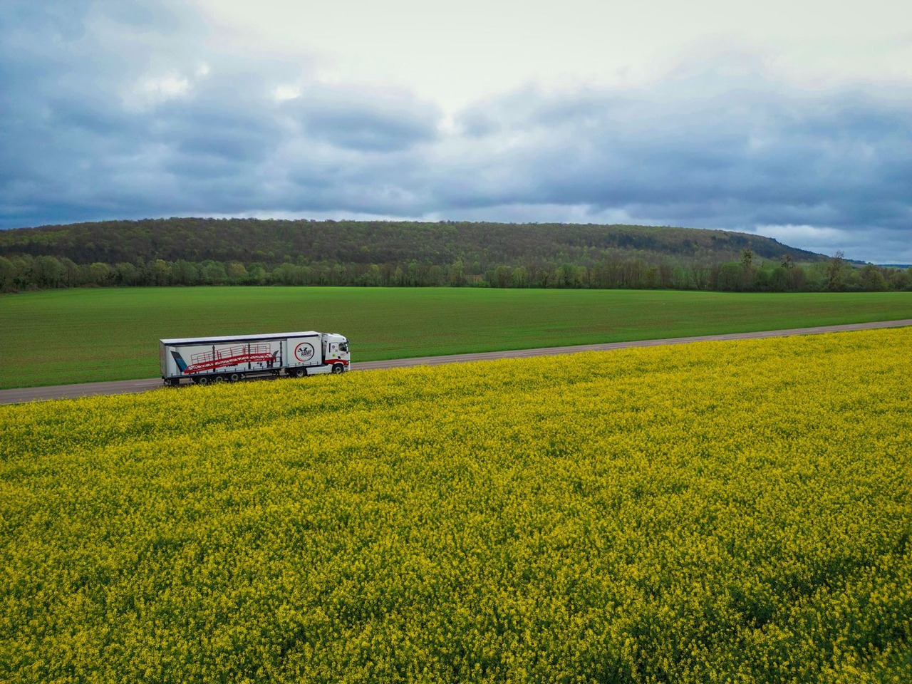 신규 로딩 램프 Loading Ramp with with hydraulic tilting bridge - AZ RAMP - STAR- 8T FULL GALVA : 사진 19 신규 로딩 램프 Loading Ramp with with hydraulic tilting bridge - AZ RAMP - STAR- 8T FULL GALVA : 사진 19