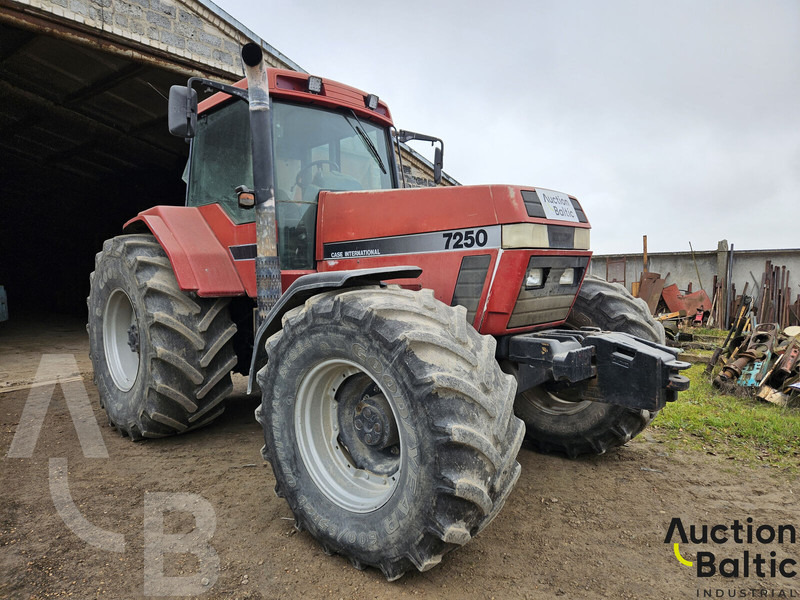 Case IH Magnum 7250 - 장궤형 트랙터 : 사진 2 Case IH Magnum 7250 - 장궤형 트랙터 : 사진 2