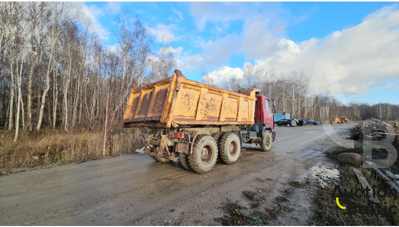 Maz 551669 - 덤프트럭 : 사진 4 Maz 551669 - 덤프트럭 : 사진 4