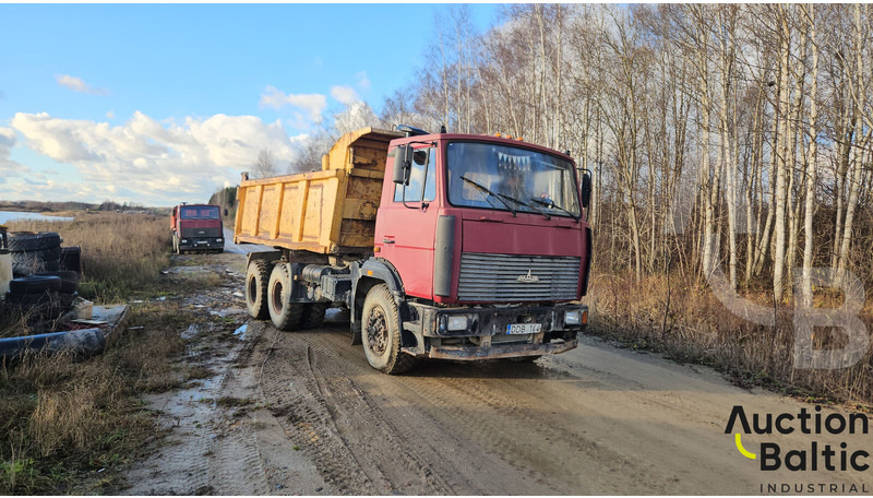 Maz 551669 - 덤프트럭 : 사진 2 Maz 551669 - 덤프트럭 : 사진 2