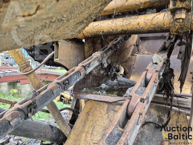 트렌처 Talleks : 사진 19 트렌처 Talleks : 사진 19