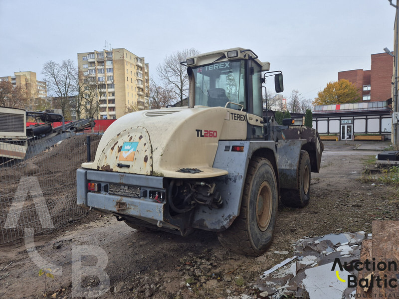 Terex TL 260 - 휠 로더 : 사진 3 Terex TL 260 - 휠 로더 : 사진 3