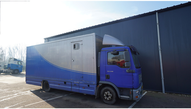 MAN TGL 8.180 HORSE TRANPORT 515.000KM - 말 수송 트럭 : 사진 4 MAN TGL 8.180 HORSE TRANPORT 515.000KM - 말 수송 트럭 : 사진 4