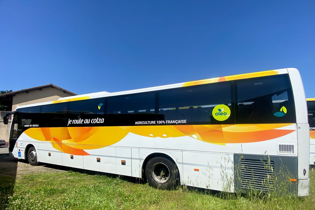 TEMSA SAFARI RD - 대형 버스 : 사진 4 TEMSA SAFARI RD - 대형 버스 : 사진 4