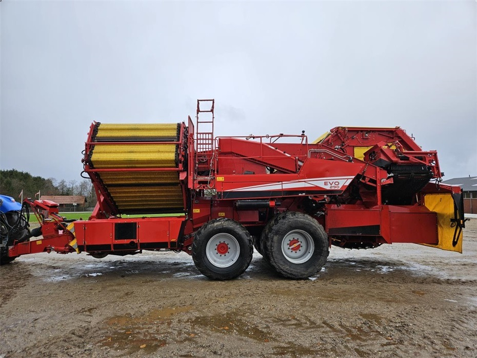 Grimme
EVO 290 AirSep - 감자 수확기 : 사진 4 Grimme
EVO 290 AirSep - 감자 수확기 : 사진 4