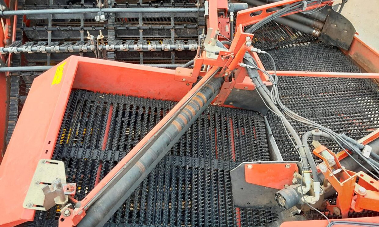 감자 수확기 Grimme SE 150-60 NB : 사진 10