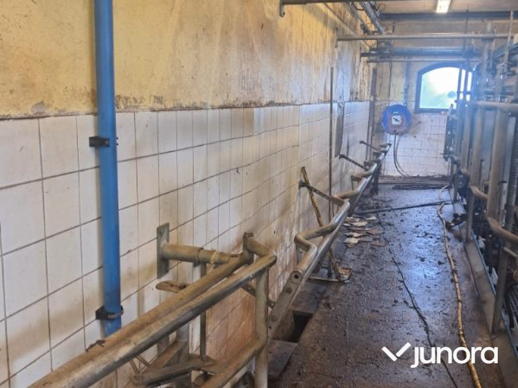 DeLaval 2x6 fiskbensstall - 착유 장비 : 사진 4 DeLaval 2x6 fiskbensstall - 착유 장비 : 사진 4