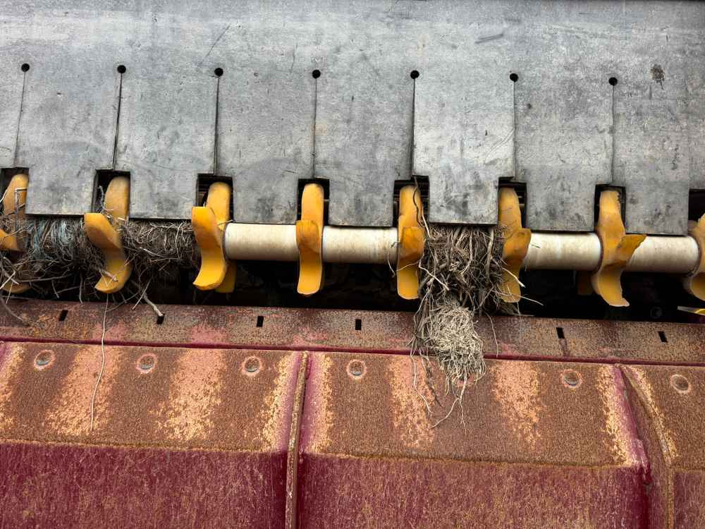 Scanstone 4215 WD - 감자 수확기 : 사진 5 Scanstone 4215 WD - 감자 수확기 : 사진 5