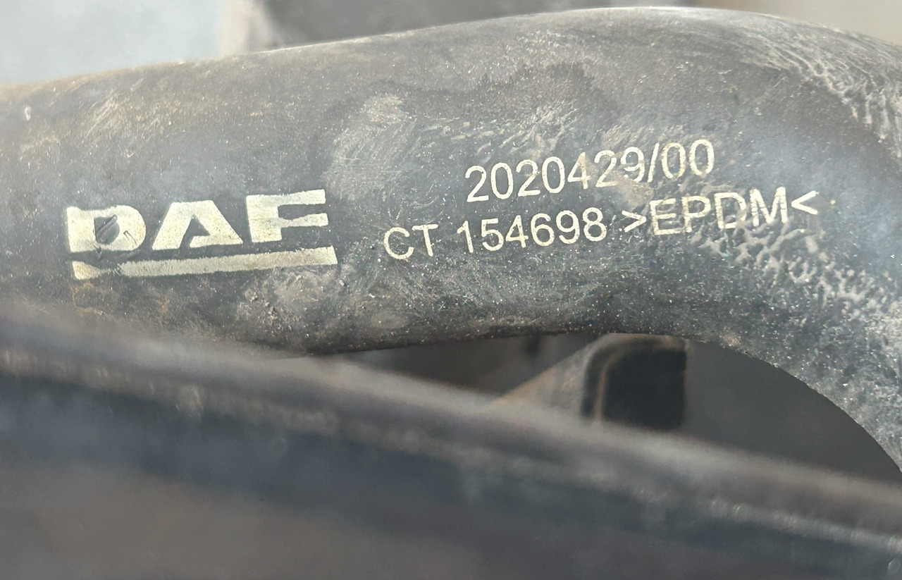 DAF Webasto THERMO TOP PRO 38 DAF XF 106 480 - 난방/ 환기 트럭 용 : 사진 5 DAF Webasto THERMO TOP PRO 38 DAF XF 106 480 - 난방/ 환기 트럭 용 : 사진 5