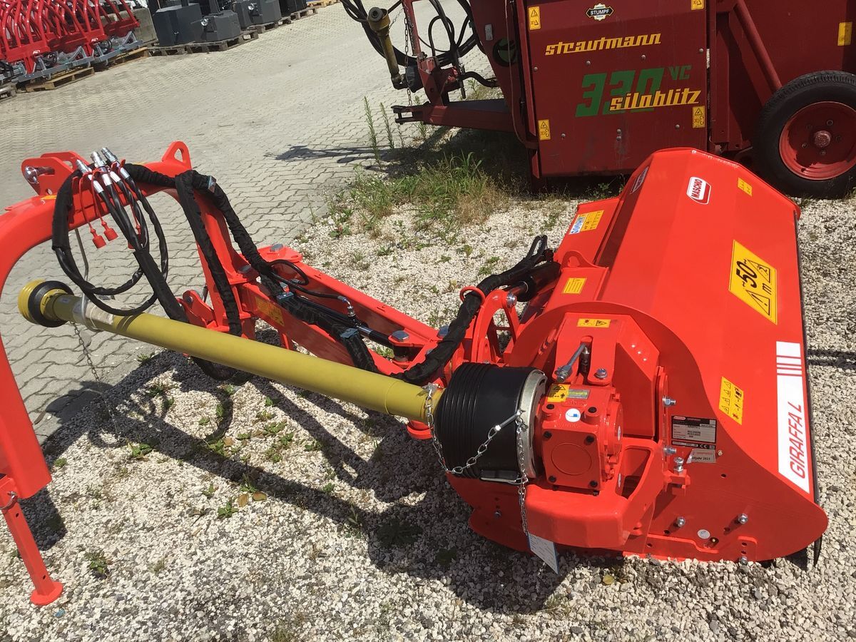 Maschio Giraffa L - 버지 모어 : 사진 2 Maschio Giraffa L - 버지 모어 : 사진 2