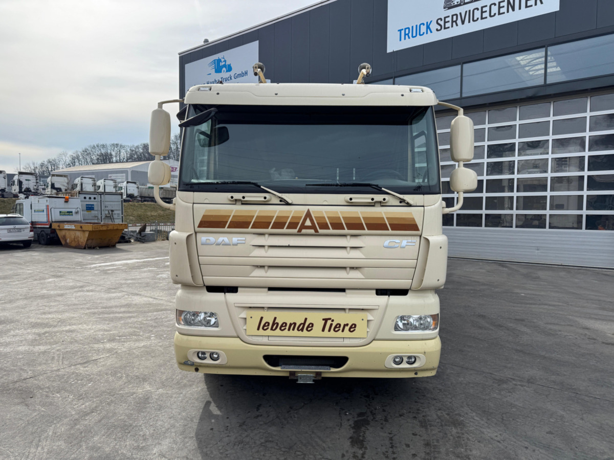 DAF CF410 4x2 - 가축 트럭 : 사진 2 DAF CF410 4x2 - 가축 트럭 : 사진 2