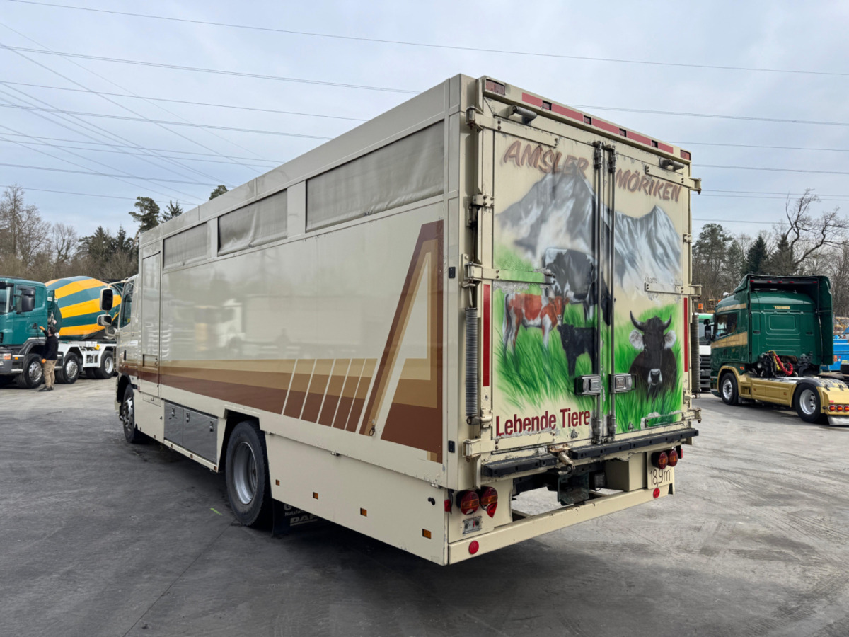 가축 트럭 DAF CF410 4x2 : 사진 7