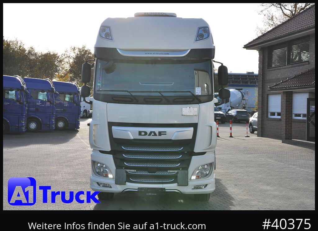 컨테이너 운반 장치/ 스와프 보디 트럭 DAF DAF XF 480 FAN SSC Intarder, Lenkachse Standlklima : 사진 12