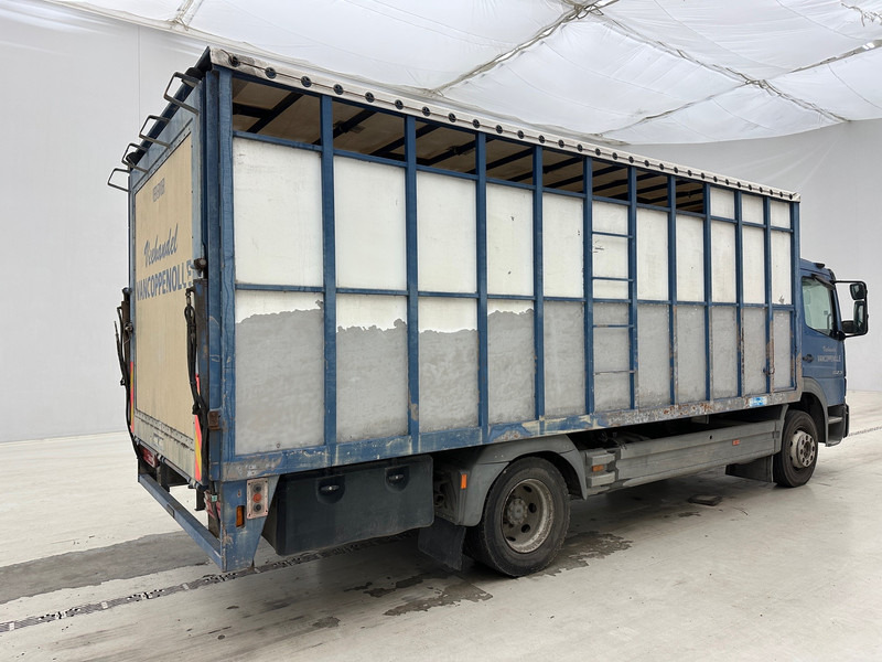 Mercedes-Benz Atego 1323 - 가축 트럭 : 사진 5 Mercedes-Benz Atego 1323 - 가축 트럭 : 사진 5