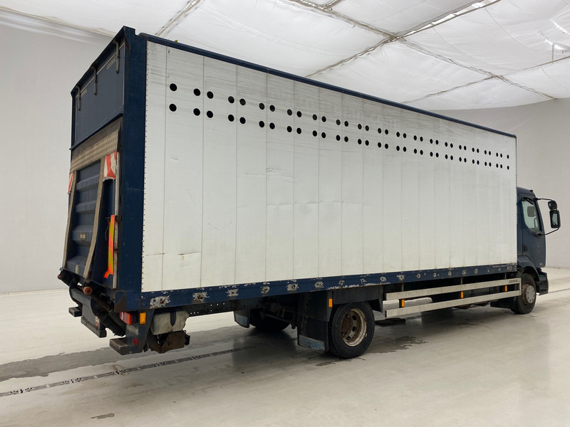 Renault Midlum 220 DCi* - 박스 트럭 : 사진 4 Renault Midlum 220 DCi* - 박스 트럭 : 사진 4