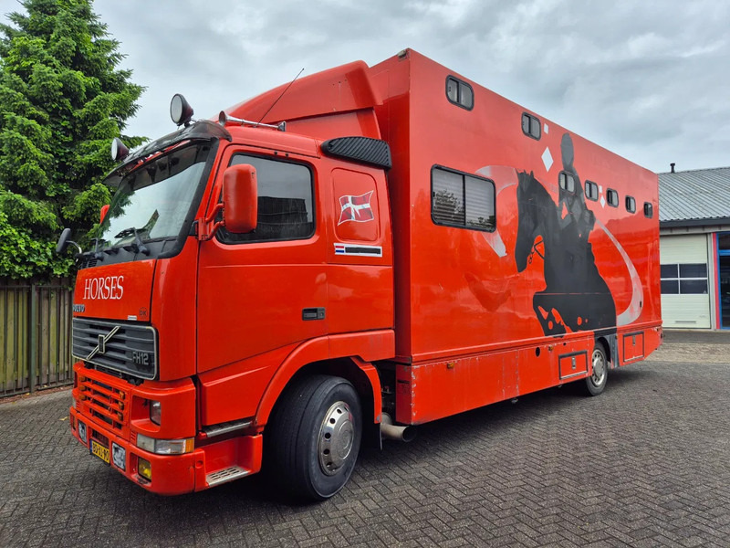 Volvo FH 12. 380pk luchtgeveerd voor en achteras - 말 수송 트럭 : 사진 1 Volvo FH 12. 380pk luchtgeveerd voor en achteras - 말 수송 트럭 : 사진 1