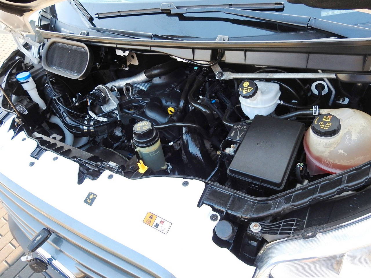 신규 냉동 밴 Ford TRANSIT  KÜHLKASTENWAGEN 0*C HEIZFUNKTION TEMP. : 사진 21