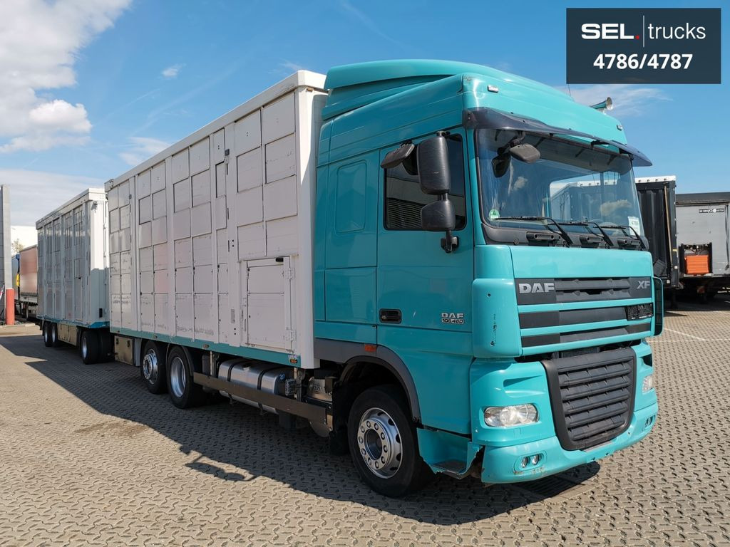 DAF XF 105.460 / Intarder / 4 Stock / KOMPLETT ! - 가축 트럭 : 사진 4 DAF XF 105.460 / Intarder / 4 Stock / KOMPLETT ! - 가축 트럭 : 사진 4