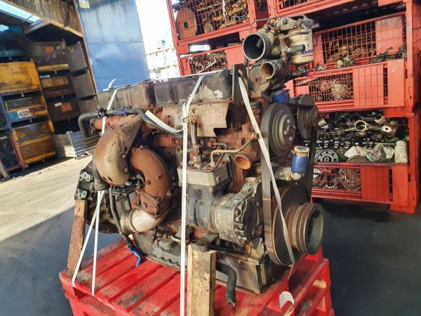 DAF WS 242 M - 엔진 : 사진 5 DAF WS 242 M - 엔진 : 사진 5