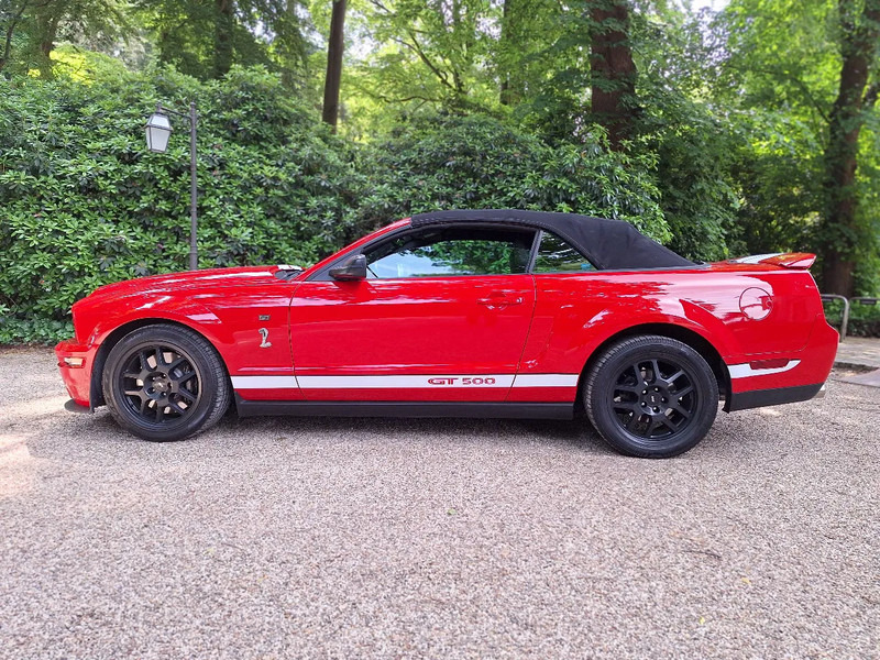 차량 Ford Mustang Original SHELBY COBRA 5.4 V8 gt500 cabrio : 사진 13