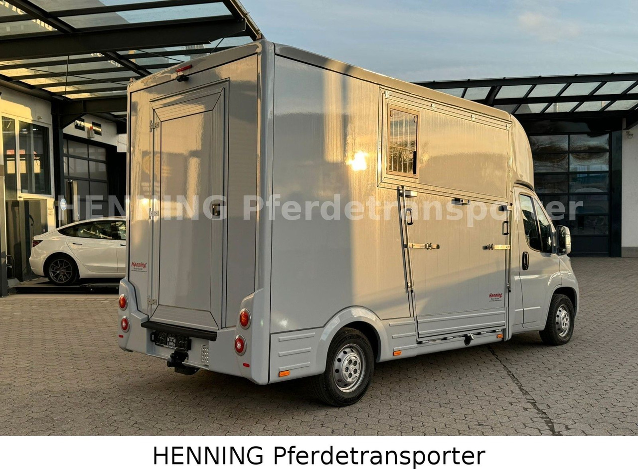 Citroën Jumper 3 - Sitzer - 가축 트럭 : 사진 3 Citroën Jumper 3 - Sitzer - 가축 트럭 : 사진 3