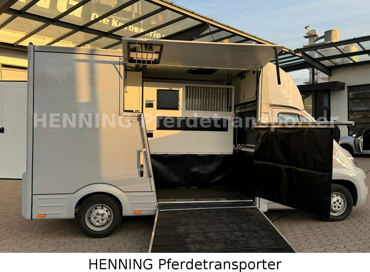 Citroën Jumper 3 - Sitzer - 가축 트럭 : 사진 4 Citroën Jumper 3 - Sitzer - 가축 트럭 : 사진 4