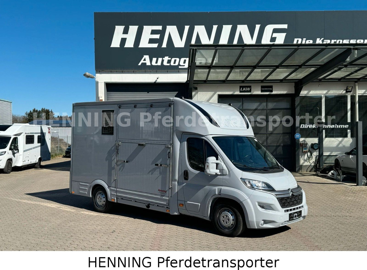 Citroën Jumper 3 - Sitzer - 말 수송 트럭 : 사진 1 Citroën Jumper 3 - Sitzer - 말 수송 트럭 : 사진 1