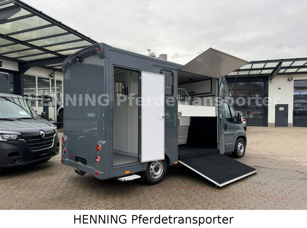 Fiat Ducato *NEUWAGEN* ca.1100 kg Nutzlast - 말 수송 트럭 : 사진 3 Fiat Ducato *NEUWAGEN* ca.1100 kg Nutzlast - 말 수송 트럭 : 사진 3